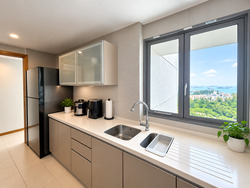 The Belvedere (D15), Condominium #623409821